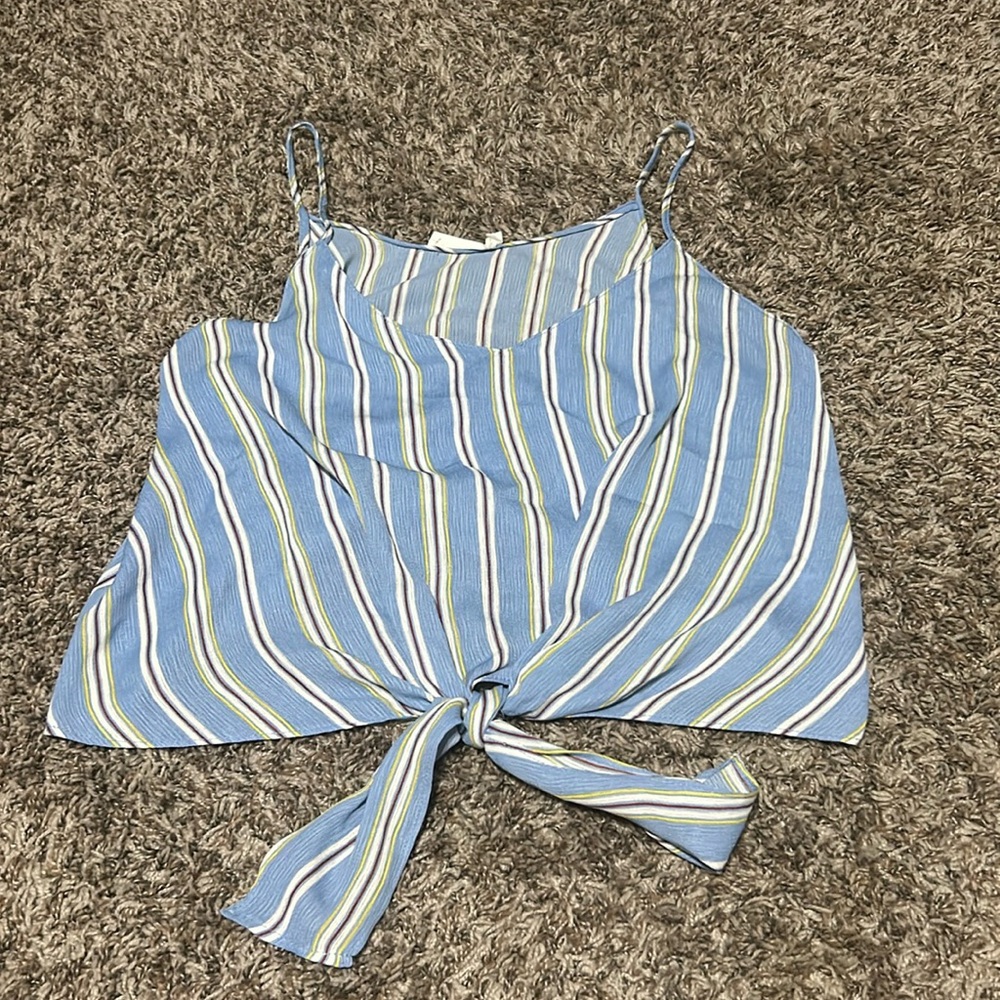 Blue stripped v-neck cropped tank top, with tie at bottom, brand is lush.